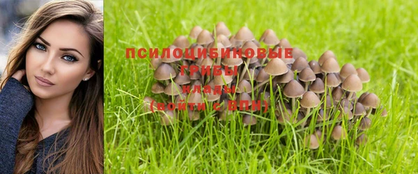 марки lsd Верхний Тагил