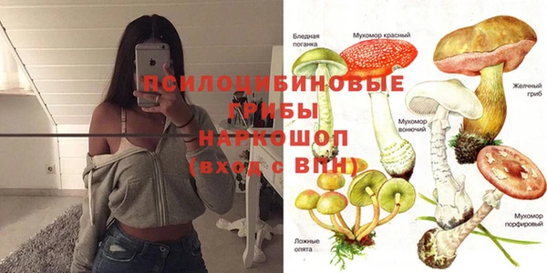 твердый Верея
