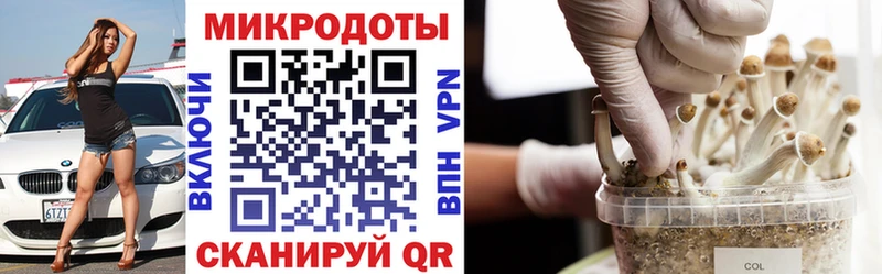 Купить закладки  Высоцк  Галлюциногенные грибы GOLDEN TEACHER 